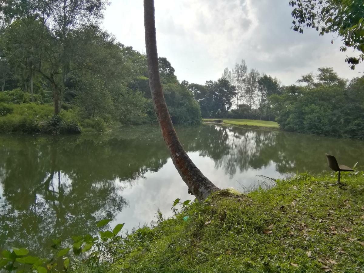 Janaview Taiping Hotel Extérieur photo